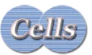 Cells